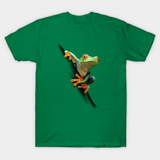 Frosch T-Shirt